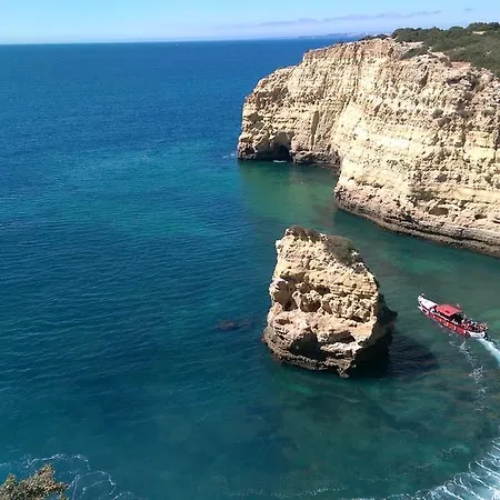 ホテル Pestana Palm Gardens 4*