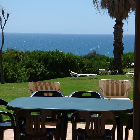 بيستانا بالم غاردنز فندق