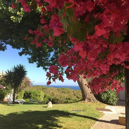 Hotel Pestana Palm Gardens Carvoeiro (Lagoa)