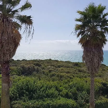 Ξενοδοχείο Pestana Palm Gardens